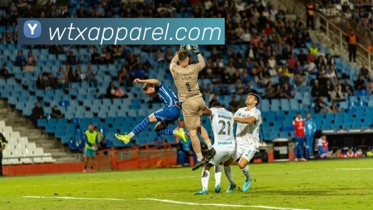 App功能展示图